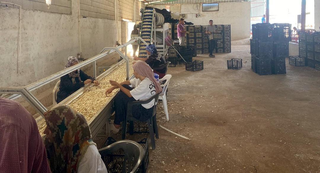 Eğitimini bitirip üretmek için ilçeye döndü, tesis kurdu 1