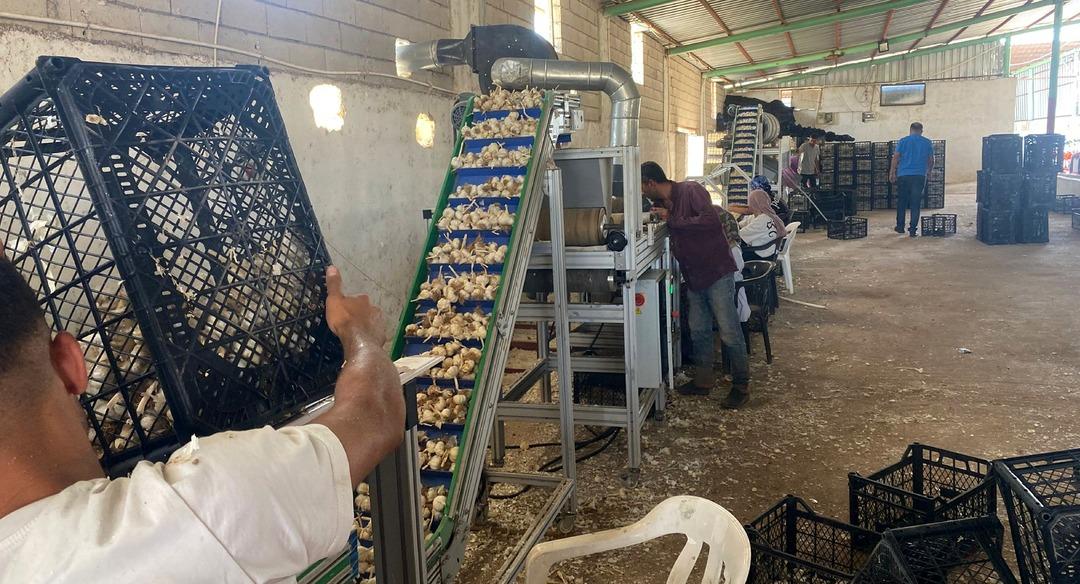 Eğitimini bitirip üretmek için ilçeye döndü, tesis kurdu 2