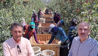 800 binden 50 bine düştü... Buruk başladı! 'Ender var'