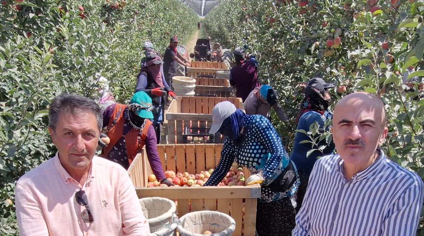 800 binden 50 bine düştü... Buruk başladı! 'Ender var'
