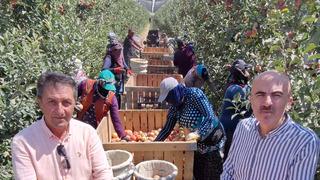 800 binden 50 bine düştü... Buruk başladı! 'Ender var'