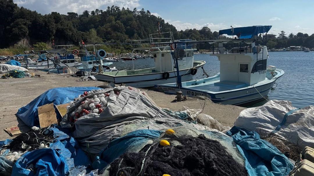 Fiyat dengesini bekliyorlar: Bollaşırsa düşecek! Geçen yıl yüksek fiyattan ulaşılamadı 1