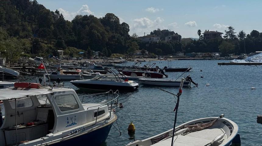 Fiyat dengesini bekliyorlar: Bollaşırsa düşecek! Geçen yıl yüksek fiyattan ulaşılamadı