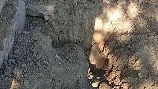 1 yıl önce ölmüştü! Mezarı cenazesi görünecek kadar kazıldı! Köylüler korkuyor...