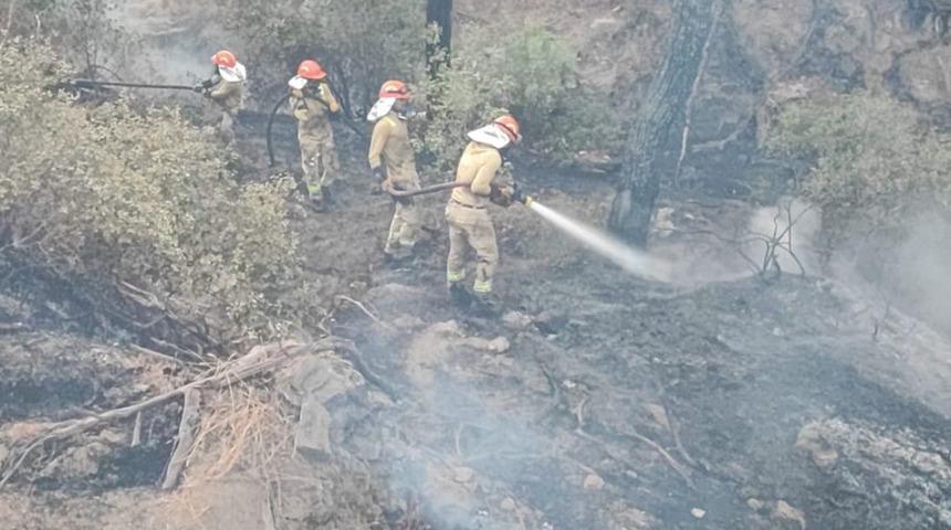 Adana'daki orman yangını kontrol altına alındı