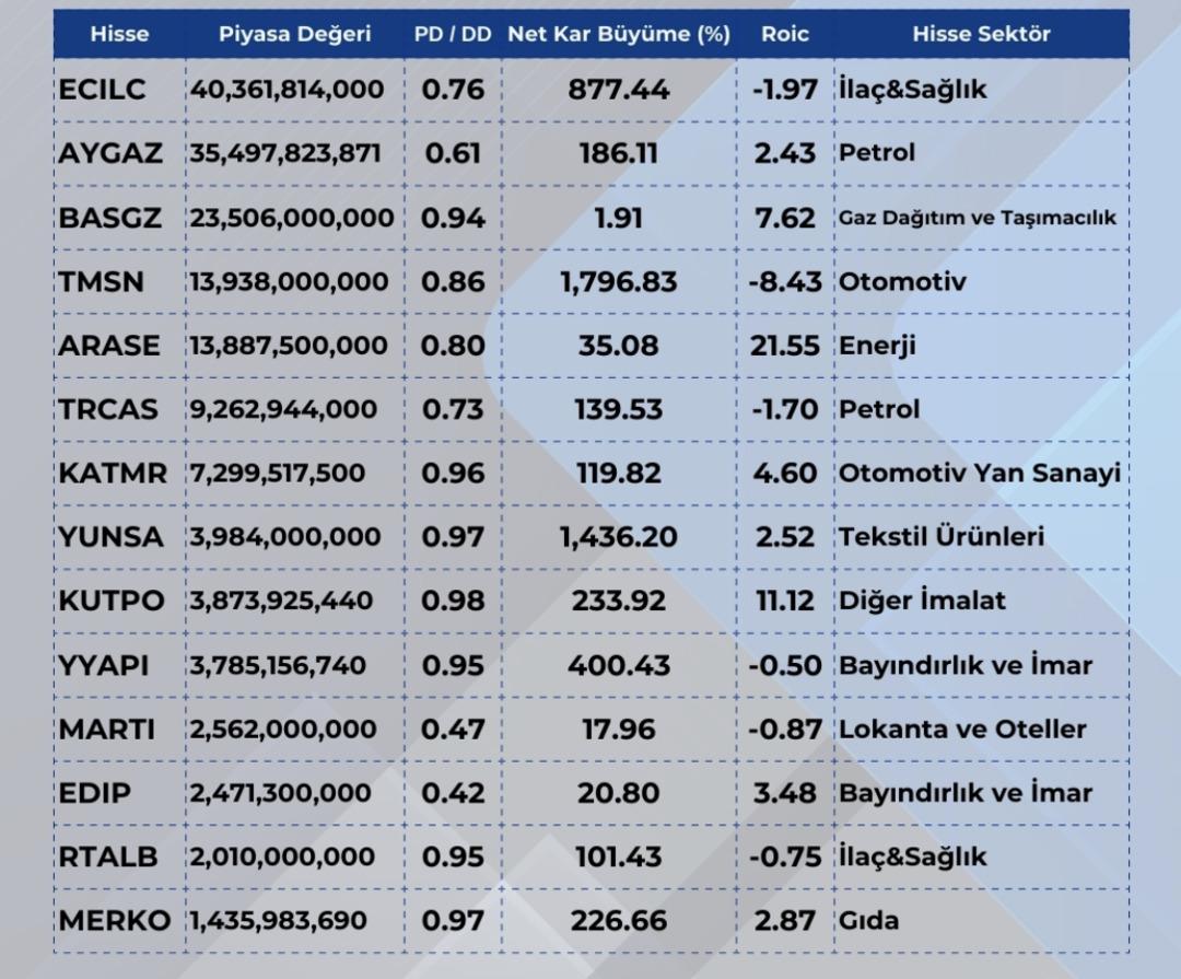 Sanayi devlerinin gerçek değeri nerede? Borsa fiyatı defter değerine takıldı 1