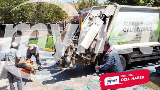 Alaşehir'de 'hayvan barınağı' skandalı: Köpekleri öldürüp, çöp arabasına attılar... Görüntüler olay yarattı