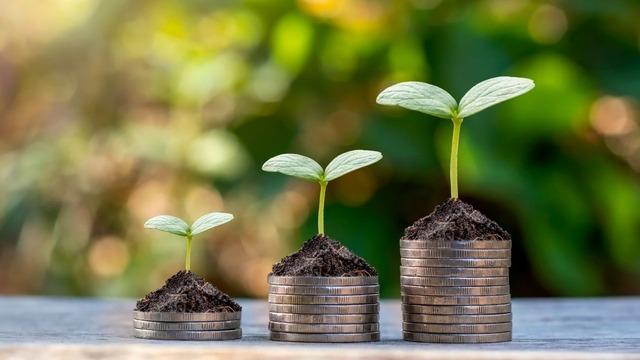 Şirketlerden sermaye artırımı kararları (9 Eyl&uuml;l 2025)