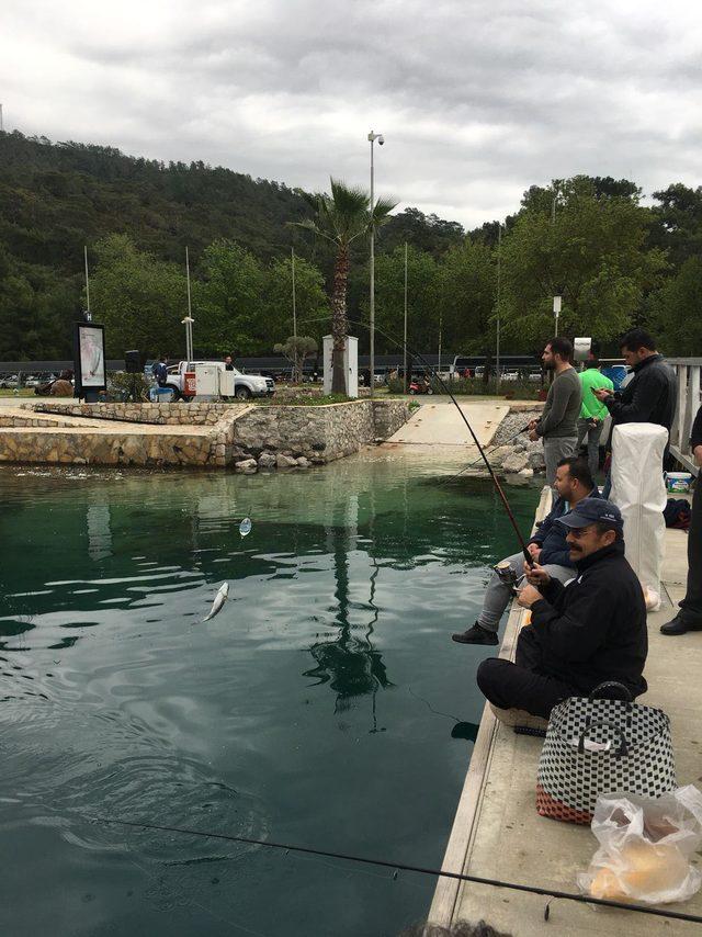 Göcek'te oltayla balık tutma yarışması