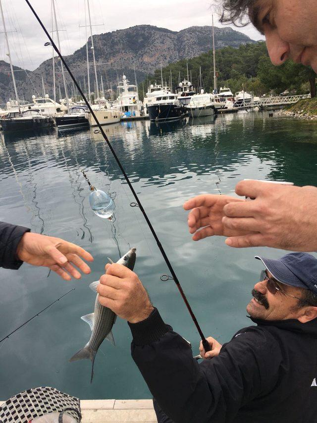 Göcek'te oltayla balık tutma yarışması