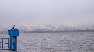 Sapanca'da göl seviyesi yağışlarla yükselişe geçti