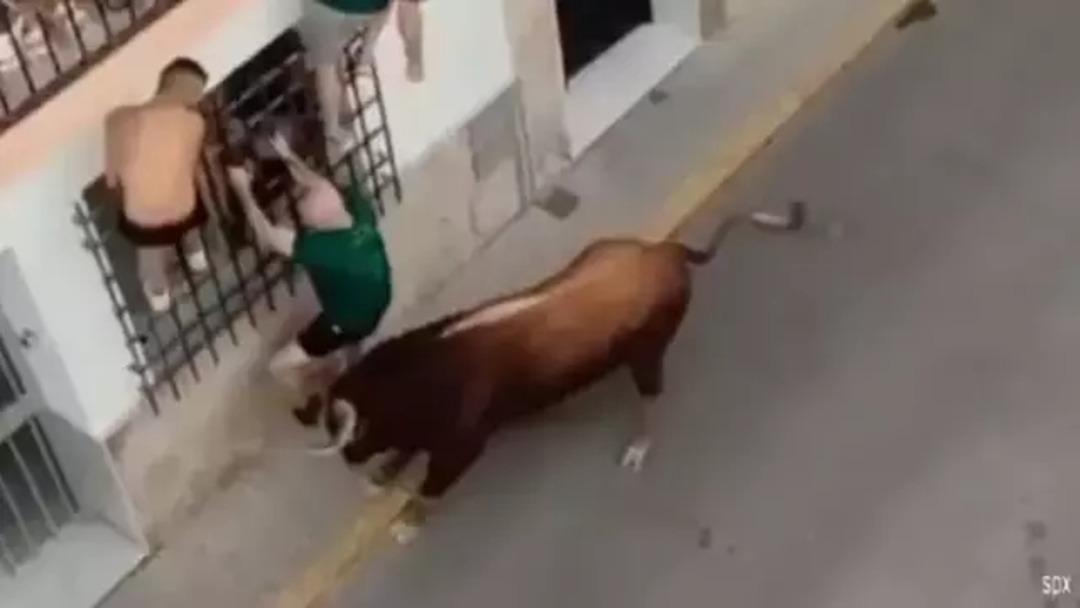 Korkunç olay! Boğa 57 yaşındaki adamı boynuzlayarak öldürdü 2