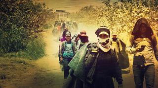 Fiyatına yüzde 500 zam! Bir mesleğe çağrı 'Kazançlarından fedakarlık yapmaları gerek'