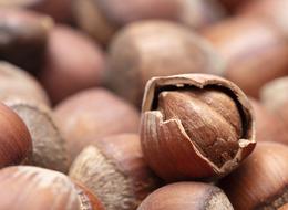 Levant kalite fındık nedir? Levant kalite fındık ne anlama gelir? Levant kalite fındık özellikleri ve anlamı