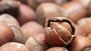 Giresun kalite fındık nedir? Giresun kalite fındık ne anlama gelir? Giresun kalite fındık özellikleri ve anlamı