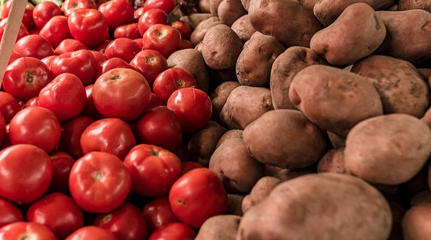 Yeni araştırma: 9 milyon yıl önce domatesten türemiş! Patates nasıl oluştu? Gizemi çözüldü…