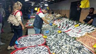 Kırklareli’nde balıkçılara denetim