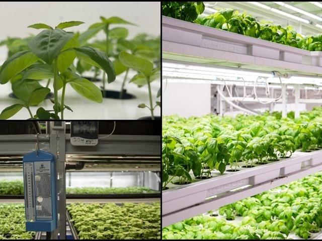 Tarımda verimlilik için toprak ve su kaynakları teknolojiyle korunacak