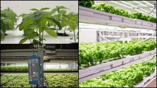 Tarımda verimlilik için toprak ve su kaynakları teknolojiyle korunacak