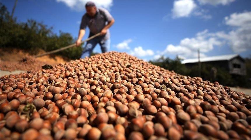 Türk fındığı geçen sezon 124 ülkede alıcı buldu