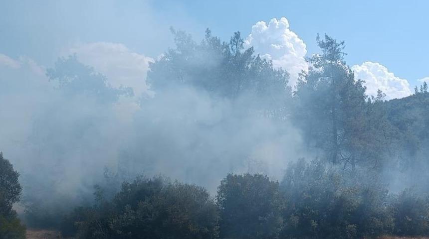 Andırın'da orman yangını büyümeden söndürüldü