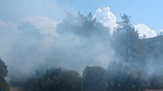 Andırın'da orman yangını büyümeden söndürüldü