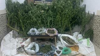 Denizli'de uyuşturucu operasyonunda 2 şüpheli tutuklandı