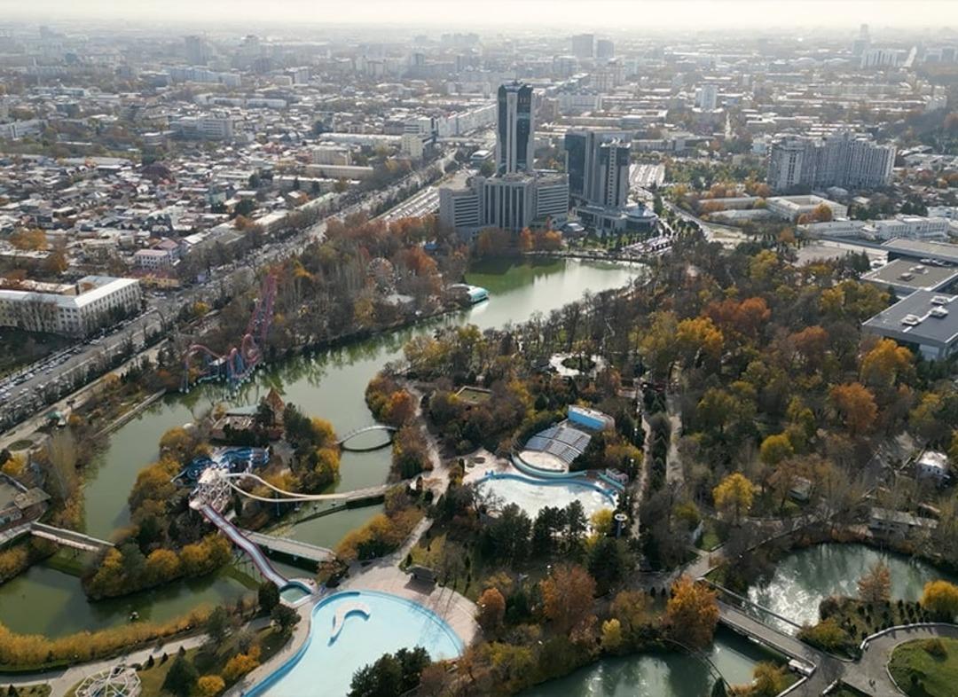 Korku filmi gibi olay! Ayı kafesine attı, hiç acımadan bıçakladı!  1