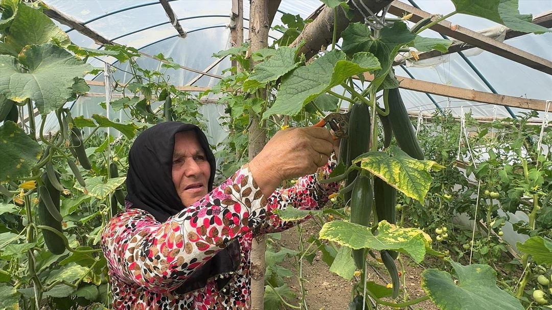  Hanemize gelir olsun istedik, oldu  Artık kendi işinin patronu 1
