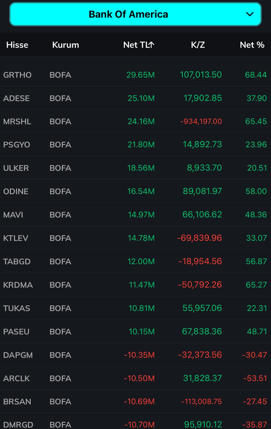 BofA’nın radarına girdiler! En çok alım yaptığı hisseler belli oldu 1