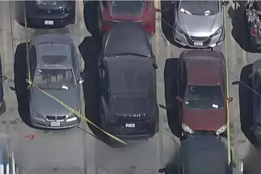 Dünyaca ünlü şarkıcının aracının bagajından çıktı: Tamamen çürümüş! Kim olduğu bile belli değil ancak parçalarına ayrılmış şekilde bulundu 1