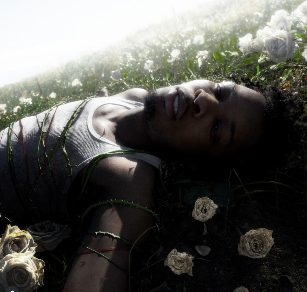 Dünyaca ünlü şarkıcının aracının bagajından çıktı: Tamamen çürümüş! Kim olduğu bile belli değil ancak parçalarına ayrılmış şekilde bulundu 3