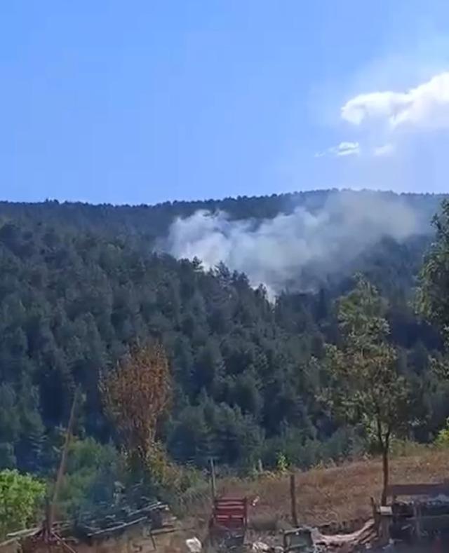 Bolu’da çıkan orman yangını kısa sürede söndürüldü 1
