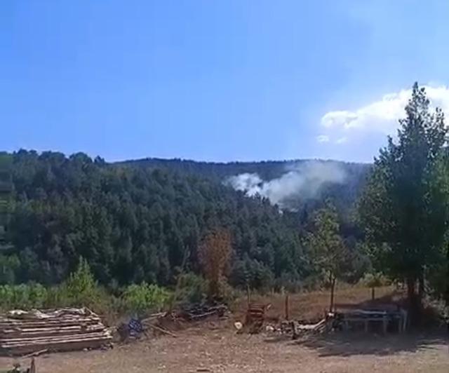 Bolu’da çıkan orman yangını kısa sürede söndürüldü 2