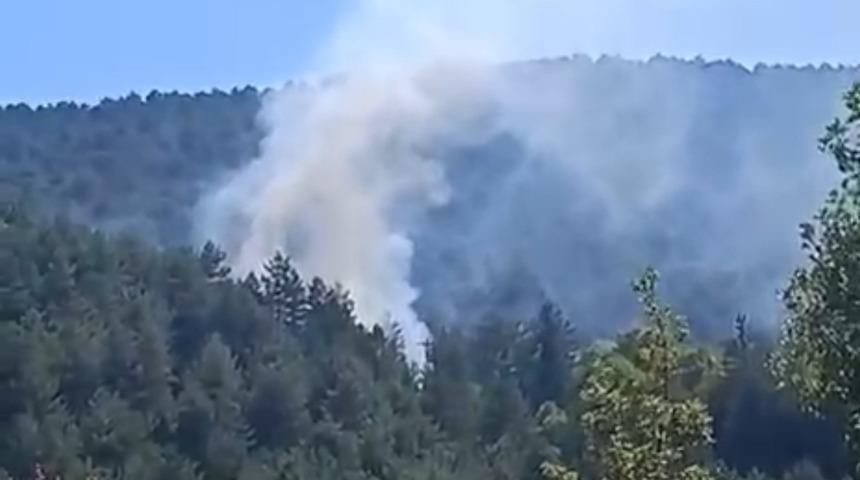 Bolu’da çıkan orman yangını kısa sürede söndürüldü