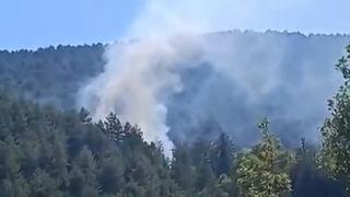 Bolu'da çıkan orman yangını kısa sürede söndürüldü