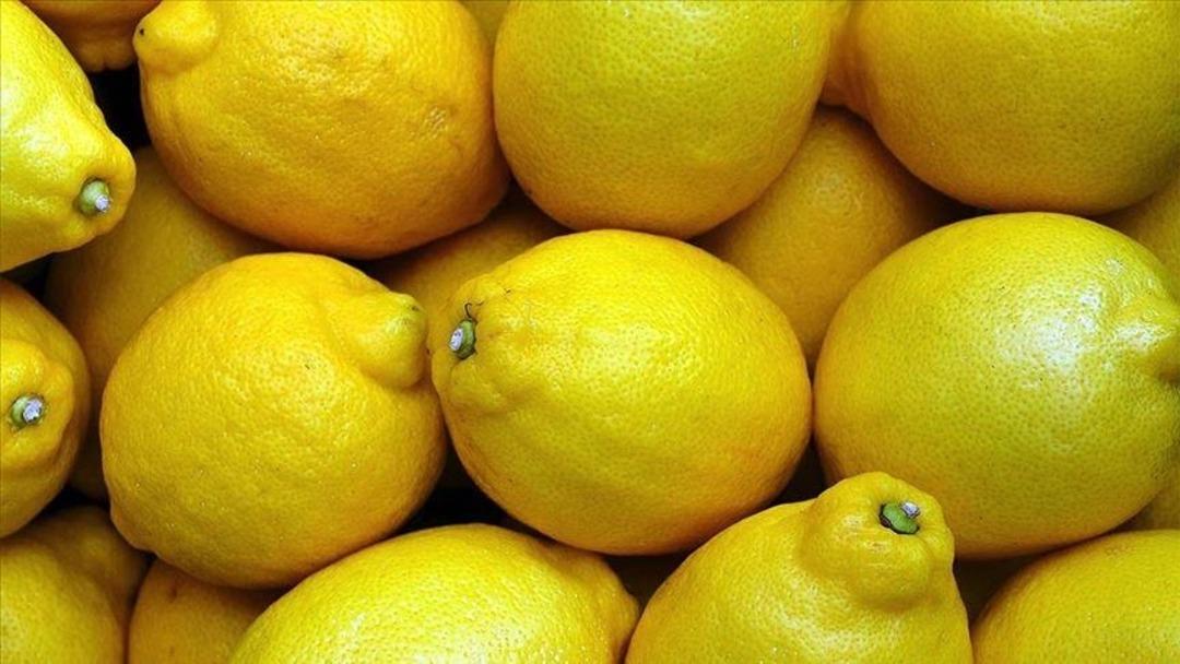 Bakanlık harekete geçti! Limon ve elma fiyatları için hamle 2