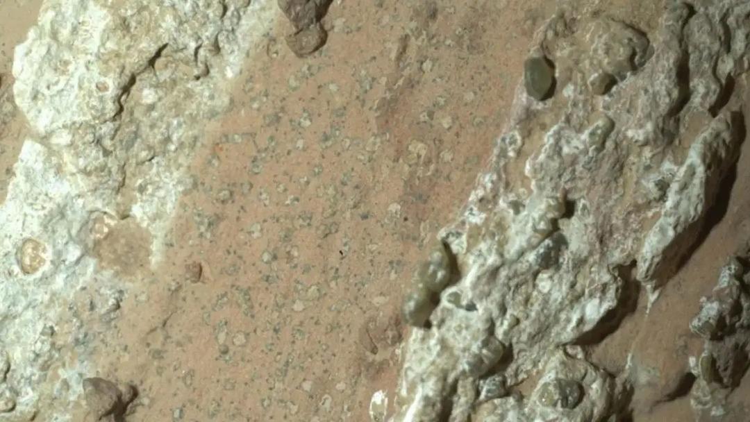 NASA duyurdu! Mars ta yaşam izi bulundu 1