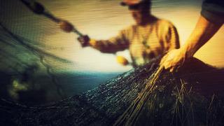 'Sahadan bilgi aldık' 1 Eylül'de başlamıştı, bu sezon çok olacak! 'Kazanç ve stok için önemli'