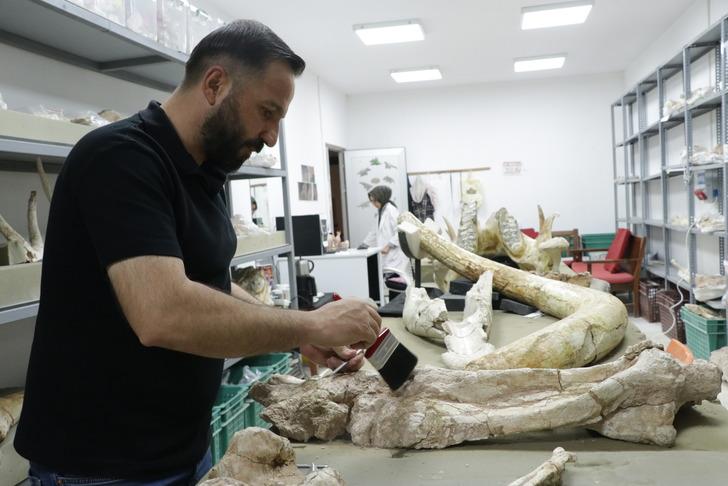 '3 farklı noktada keşfettik' Çoban bulmuştu, kazı yaptılar! 'Kuyumcu titizliğiyle çalışıyoruz' G5