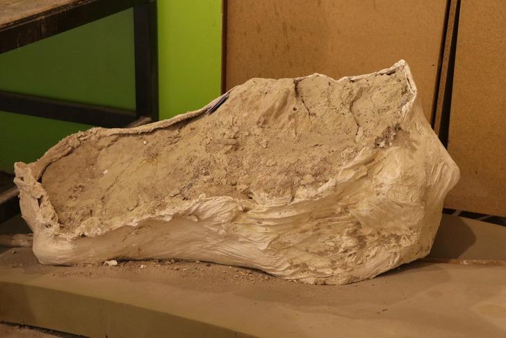 '3 farklı noktada keşfettik' Çoban bulmuştu, kazı yaptılar! 'Kuyumcu titizliğiyle çalışıyoruz' G4