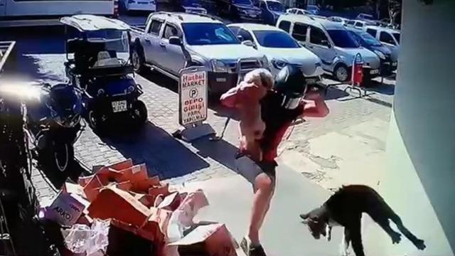 Kediyi tekmeyle metrelerce yükseğe fırlatmıştı: O cani cezasız kalmadı!