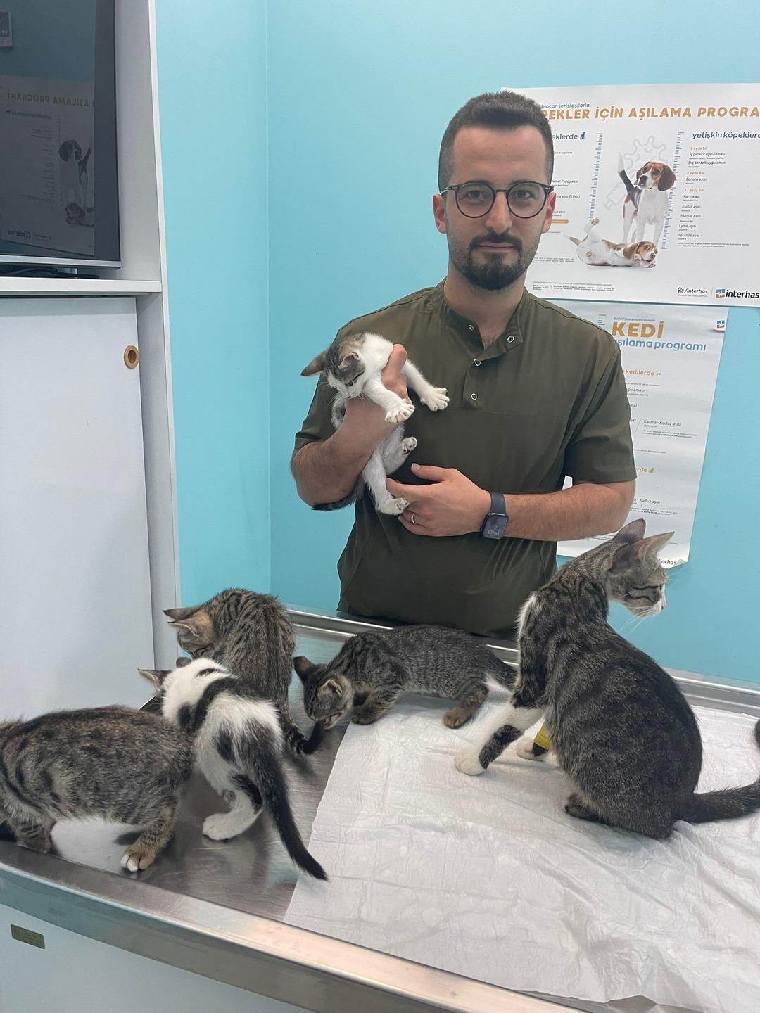 Kediyi tekmeyle metrelerce yükseğe fırlatmıştı: O cani cezasız kalmadı! 3