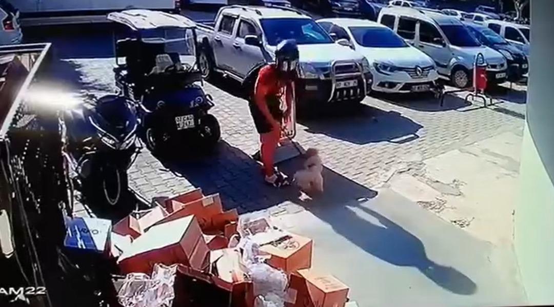 Kediyi tekmeyle metrelerce yükseğe fırlatmıştı: O cani cezasız kalmadı! 4