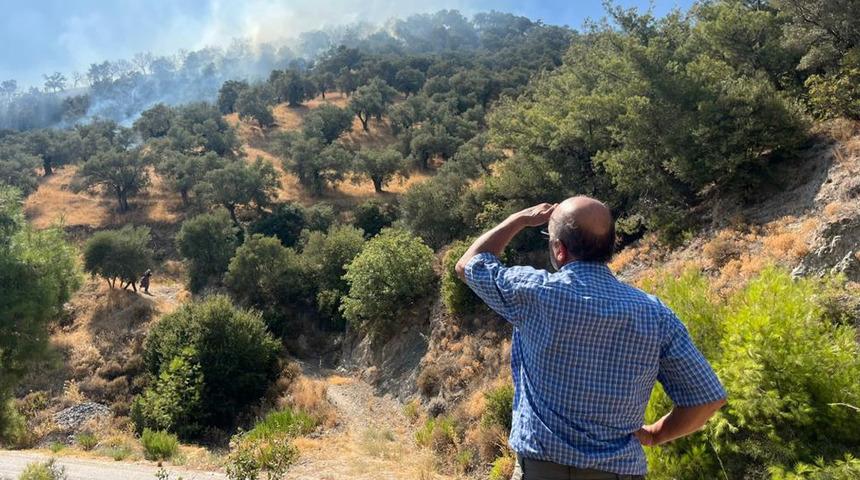 Aydın'da zirai alan yangını: 30 dönüm alan zarar gördü