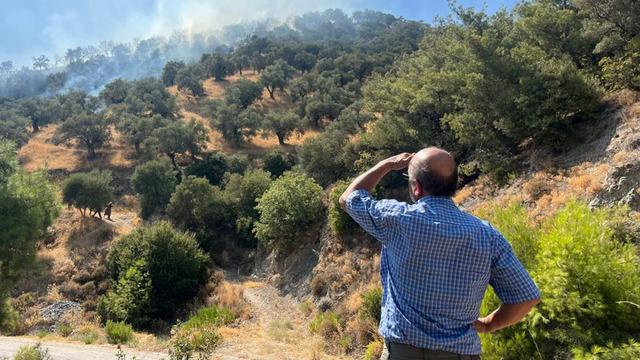 Aydın'da zirai alan yangını: 30 dönüm alan zarar gördü