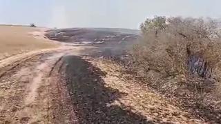 Kapaklı'da çıkan yangında 8 dönüm arazi kül oldu