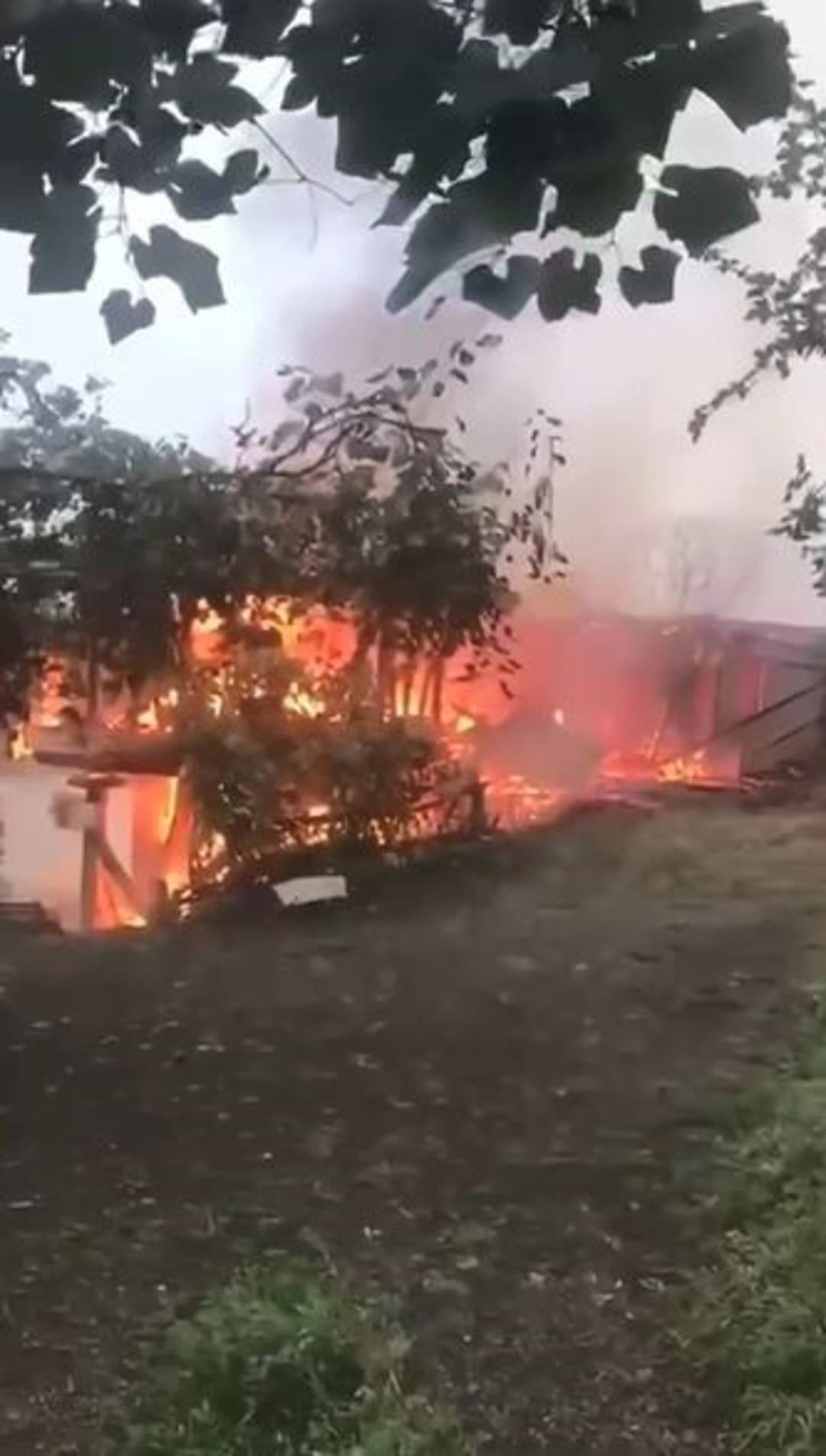 Artvin de yangın paniği: 4 ev küle döndü 1