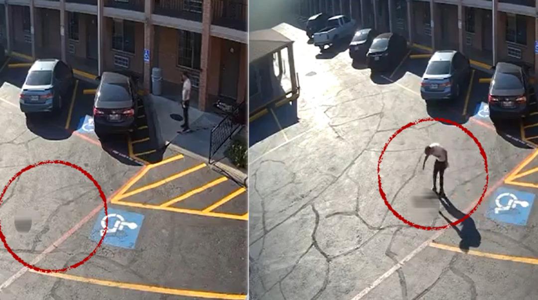 Önce Ukraynalı göçmen sonra Charlie Kirk... Şimdiki ise adeta vahşet: Kafasını kesti, asfaltta yuvarladı ve çöpe attı: Sebebi belli oldu! 1