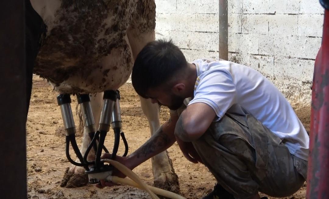 Türkiye’de bir ilk: 11 yılda 800 bağımlı genç kurtuldu! Osmanlı dan kalma yöntemle uyuşturucu ile mücadele: "18 yılın izlerini 24 günde temizliyoruz"   4